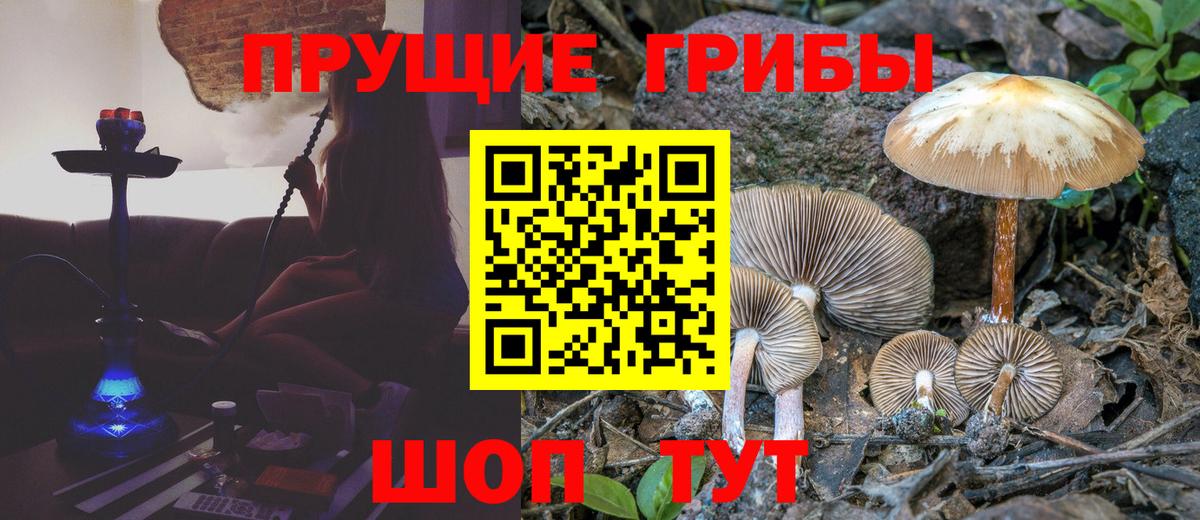 Галлюциногенные грибы ЛСД Алушта