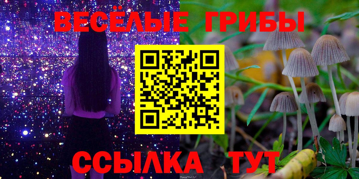 Галлюциногенные грибы мицелий  Вход с VPN  цены наркотик  Алушта  Галлюциногенные грибы Psilocybe 
